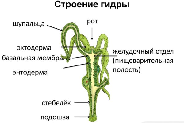 Блэкспрут зайти через тор